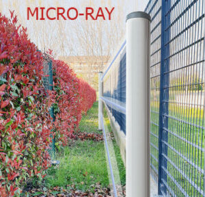 micro ray Git