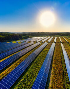 solar farm at sunset