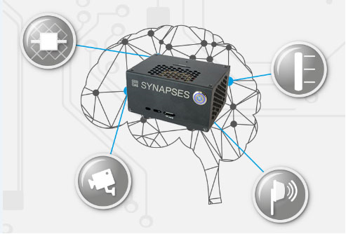 Synapsesbrain