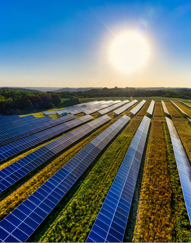solar farm at sunset 2